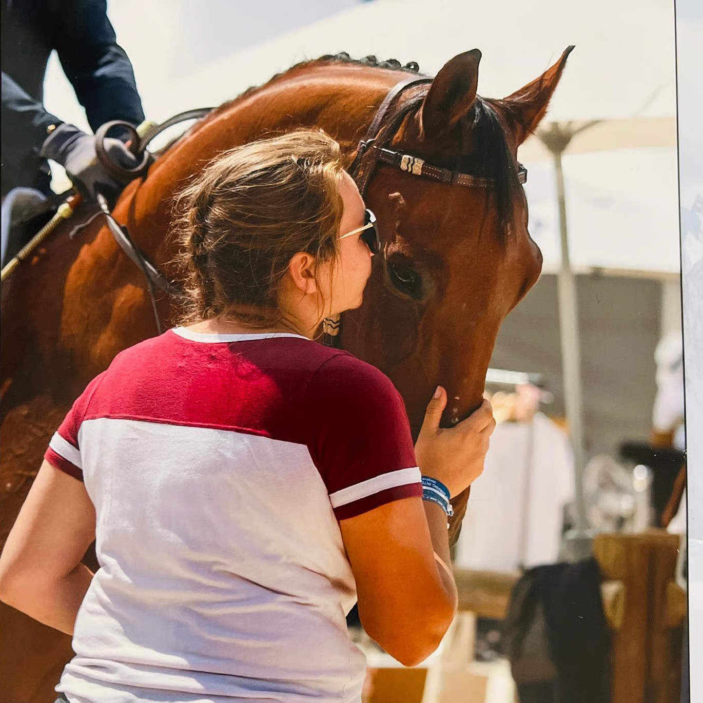 Grooming de concours : préparation et soins du cheval